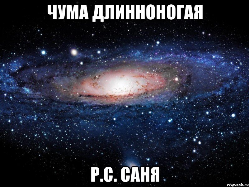 Чума длинноногая Р.С. Саня, Мем Вселенная