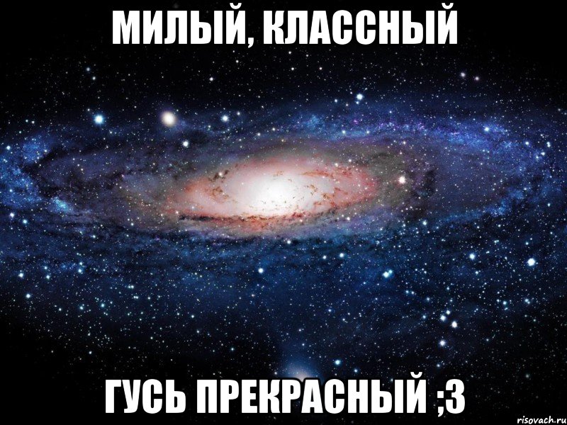 Милый, классный Гусь прекрасный ;3, Мем Вселенная