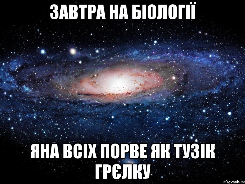 Завтра на біології Яна всіх порве як тузік грєлку, Мем Вселенная