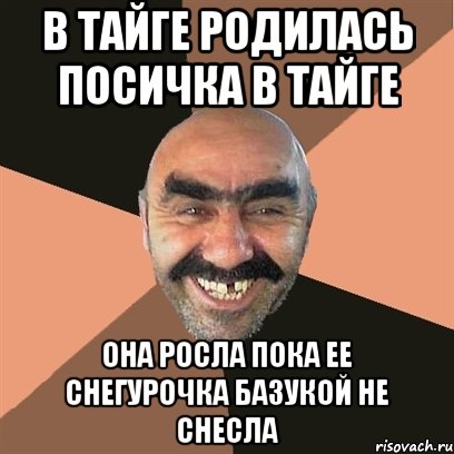 В тайге родилась Посичка в тайге Она росла пока ее снегурочка базукой не снесла, Мем Я твой дом труба шатал