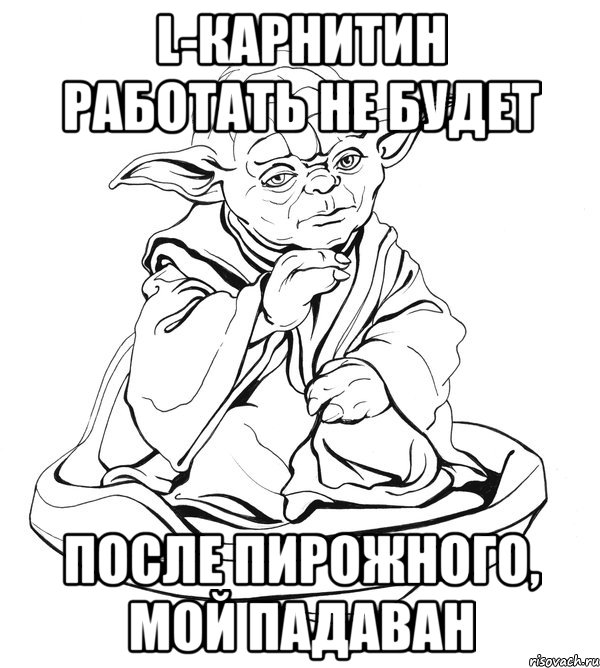 L-карнитин работать не будет после пирожного, мой падаван, Мем Мастер Йода