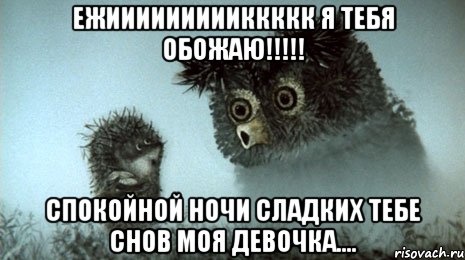 Ежиииииииииккккк я тебя обожаю!!!!! Спокойной ночи сладких тебе снов моя девочка...., Мем Ёжик в Тумане