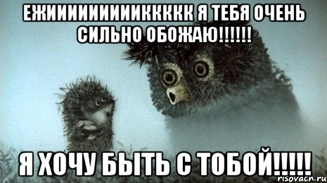 Ежиииииииииккккк я тебя очень сильно обожаю!!!!!! Я хочу быть с тобой!!!!!, Мем Ёжик в Тумане