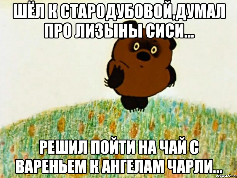 Шёл к Стародубовой,думал про Лизыны сиси... Решил пойти на чай с вареньем к Ангелам Чарли..., Мем ВИННИ ПУХ