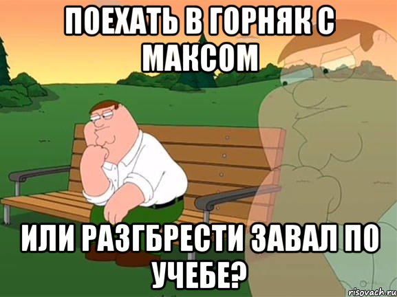 поехать в Горняк с Максом или разгбрести завал по учебе?, Мем Задумчивый Гриффин