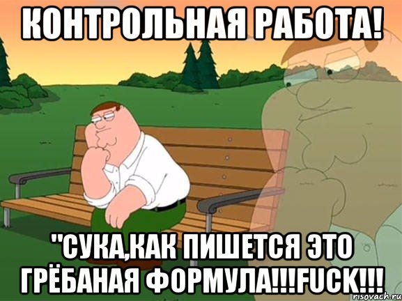 Контрольная работа! "Сука,как пишется это грёбаная формула!!!Fuck!!!, Мем Задумчивый Гриффин