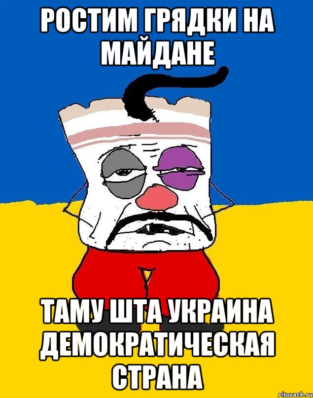 Ростим грядки на майдане Таму шта Украина демократическая страна, Мем Западенец - тухлое сало