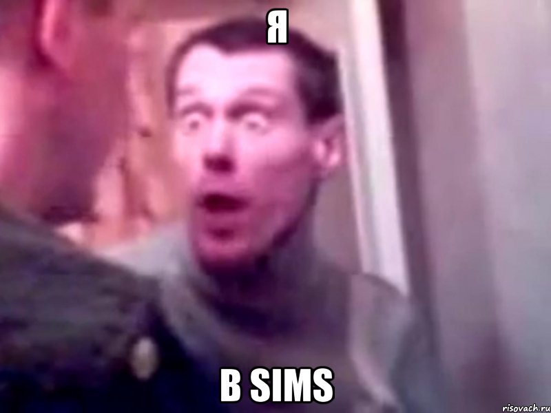 Я В SIMS, Мем Запили