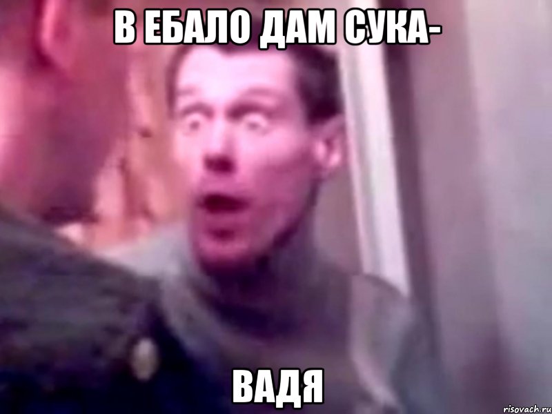 в ебало дам сука- вадя, Мем Запили