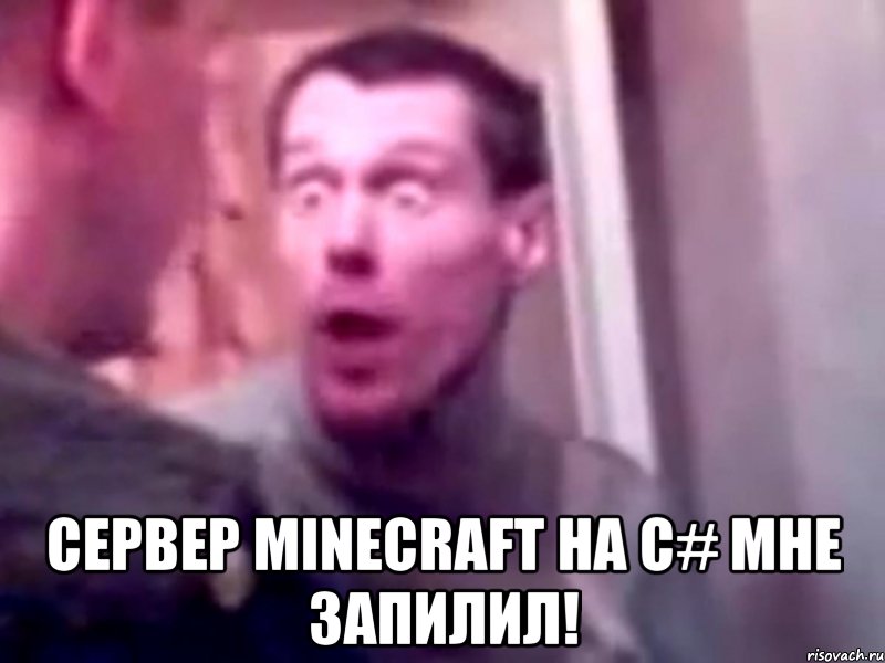  Сервер minecraft на C# мне запилил!, Мем Запили