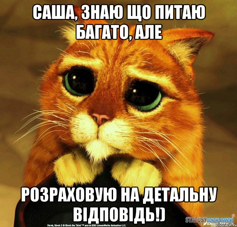 Саша, знаю що питаю багато, але РОЗРАХОВУЮ НА ДЕТАЛЬНУ ВІДПОВІДЬ!), Мем Котик из Шрека