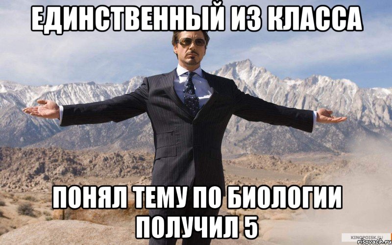 Единственный из класса Понял тему по биологии Получил 5, Мем железный человек