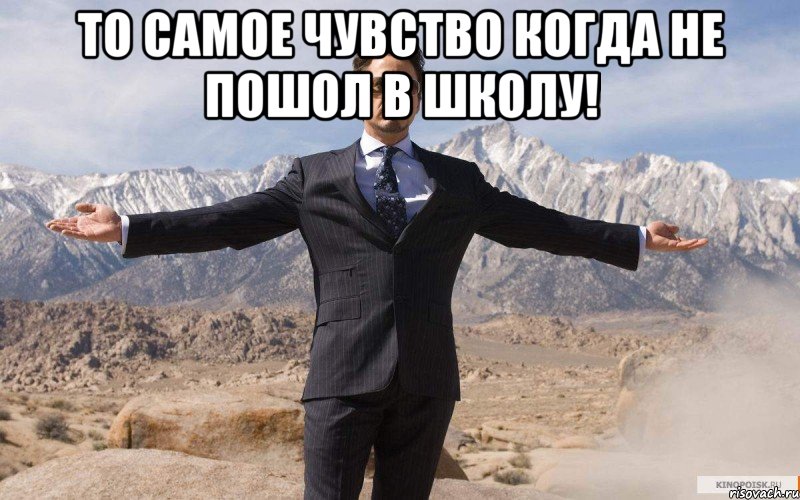 То самое чувство когда не пошол в школу! , Мем железный человек