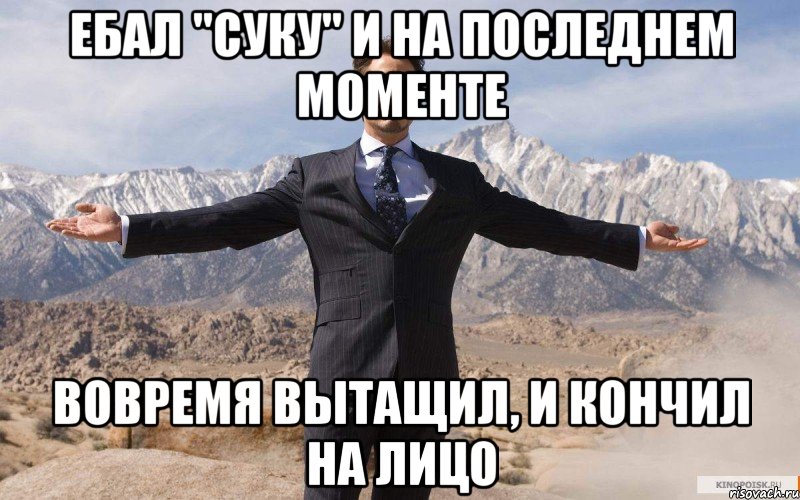 Ебал "Суку" И на последнем моменте Вовремя вытащил, и кончил на лицо, Мем железный человек