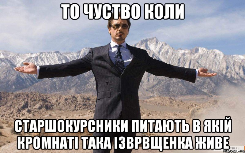 то чуство коли старшокурсники питають в якій кромнаті така ізврвщенка живе, Мем железный человек