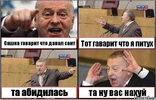 Сашка гаварит что давал саит Тот гаварит что я питух та абидилась та ну вас нахуй, Комикс жиреновский