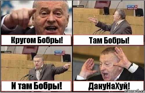 Кругом Бобры! Там Бобры! И там Бобры! ДануНаХуй!, Комикс жиреновский