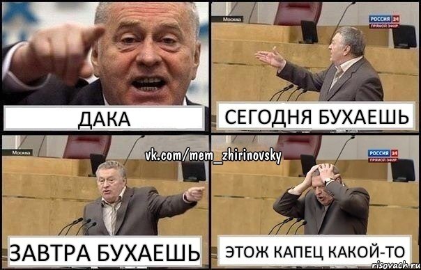 Дака сегодня бухаешь завтра бухаешь этож капец какой-то, Комикс Жирик