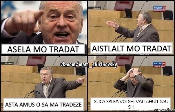 Asela mo tradat aistlalt mo tradat asta amus o sa ma tradeze suca sblea voi shi vati ahuit sau shi, Комикс Жирик