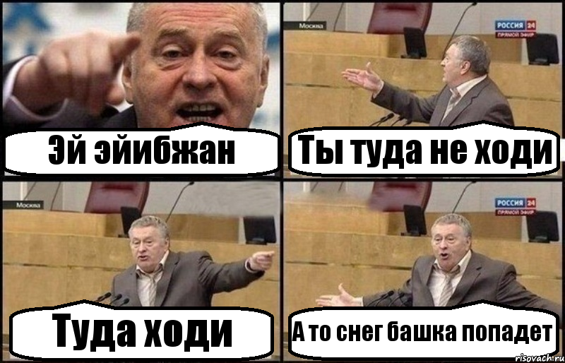 Эй эйибжан Ты туда не ходи Туда ходи А то снег башка попадет, Комикс Жириновский