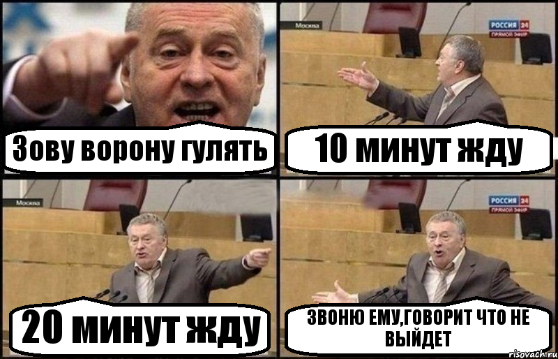 Зову ворону гулять 10 минут жду 20 минут жду ЗВОНЮ ЕМУ,ГОВОРИТ ЧТО НЕ ВЫЙДЕТ, Комикс Жириновский