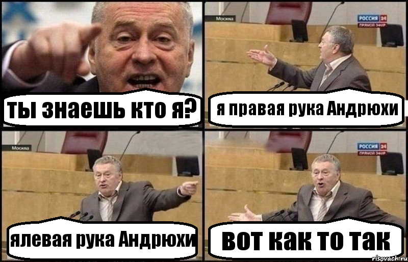 ты знаешь кто я? я правая рука Андрюхи ялевая рука Андрюхи вот как то так, Комикс Жириновский