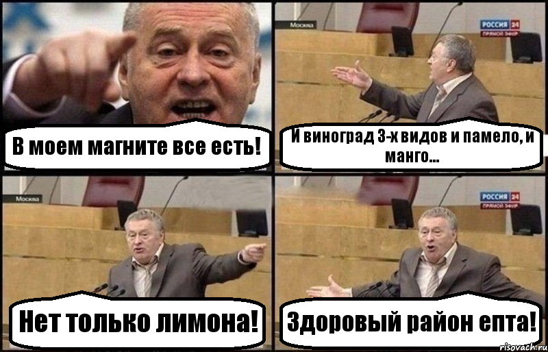 В моем магните все есть! И виноград 3-х видов и памело, и манго... Нет только лимона! Здоровый район епта!, Комикс Жириновский