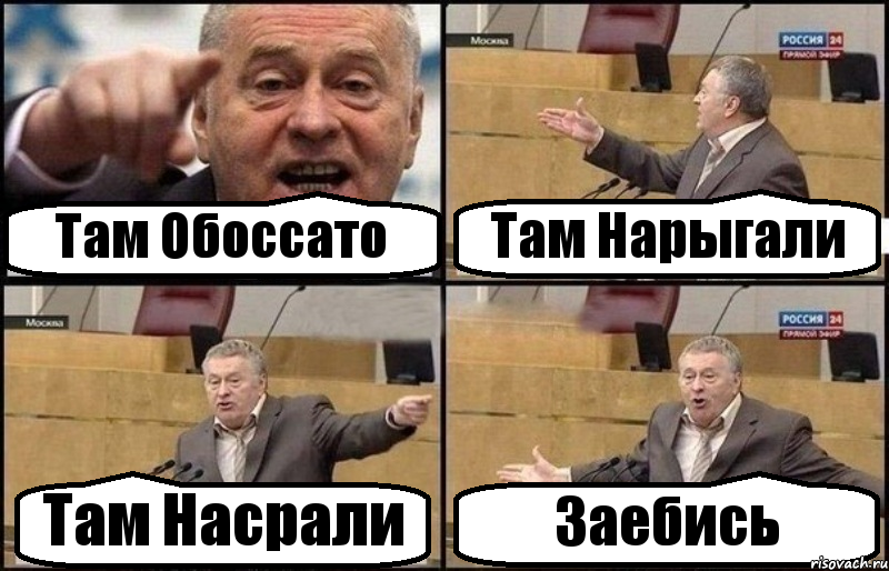 Там Обоссато Там Нарыгали Там Насрали Заебись, Комикс Жириновский