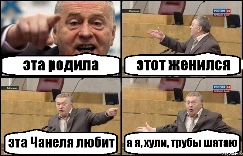 эта родила этот женился эта Чанеля любит а я, хули, трубы шатаю, Комикс Жириновский