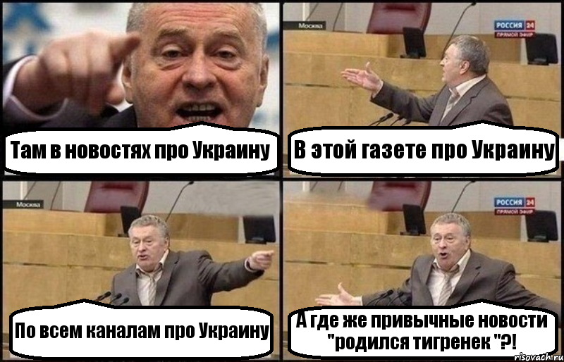 Там в новостях про Украину В этой газете про Украину По всем каналам про Украину А где же привычные новости "родился тигренек "?!, Комикс Жириновский