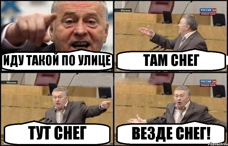 ИДУ ТАКОЙ ПО УЛИЦЕ ТАМ СНЕГ ТУТ СНЕГ ВЕЗДЕ СНЕГ!, Комикс Жириновский