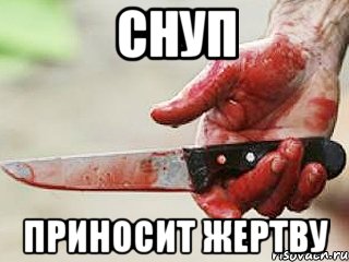 СНУП ПРИНОСИТ ЖЕРТВУ, Мем жить это боротсяя боротся это