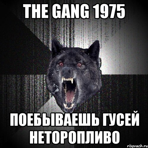 the gang 1975 поебываешь гусей неторопливо, Мем  Злобный волк