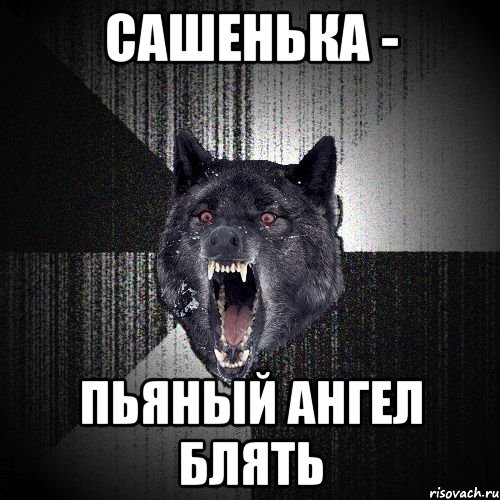 САШЕНЬКА - ПЬЯНЫЙ АНГЕЛ БЛЯТЬ, Мем  Злобный волк