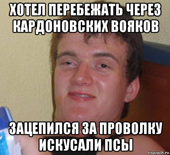 Хотел перебежать через Кардоновских Вояков Зацепился за проволку искусали псы, Мем 10 guy (Stoner Stanley really high guy укуренный парень)