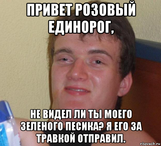 привет розовый единорог, не видел ли ты моего зеленого песика? я его за травкой отправил., Мем 10 guy (Stoner Stanley really high guy укуренный парень)