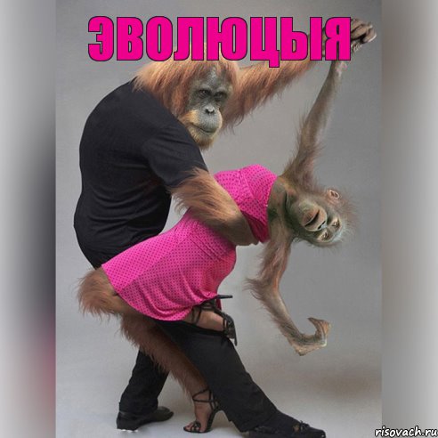 эволюцыя , Комикс 1