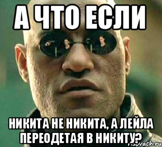 А что если Никита не Никита, а Лейла переодетая в Никиту?, Мем  а что если я скажу тебе