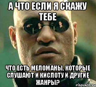 А что если я скажу тебе что есть меломаны, которые слушают и кислоту и другие жанры?, Мем  а что если я скажу тебе