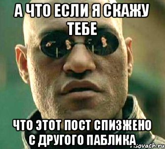 а что если я скажу тебе что этот пост спизжено с другого паблика, Мем  а что если я скажу тебе