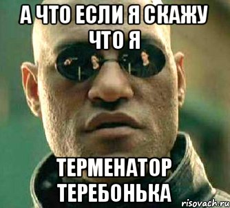 А ЧТО ЕСЛИ Я СКАЖУ ЧТО Я ТЕРМЕНАТОР теребонька, Мем  а что если я скажу тебе