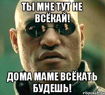 Ты мне тут не ВСЁкай! Дома маме всЁкать будешь!, Мем  а что если я скажу тебе