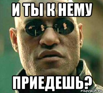 и ты к нему приедешь?, Мем  а что если я скажу тебе