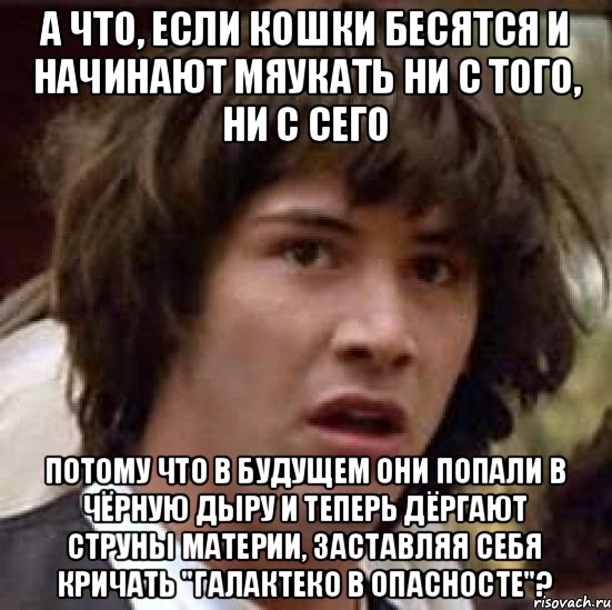 А что, если кошки бесятся и начинают мяукать ни с того, ни с сего потому что в будущем они попали в чёрную дыру и теперь дёргают струны материи, заставляя себя кричать "Галактеко в опасносте"?, Мем А что если (Киану Ривз)