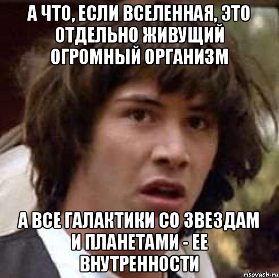 А что, если Вселенная, это отдельно живущий огромный организм а все галактики со звездам и планетами - ее внутренности, Мем А что если (Киану Ривз)