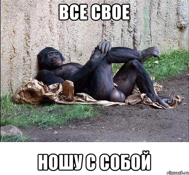 все свое ношу с собой, Мем а танцую я не очень