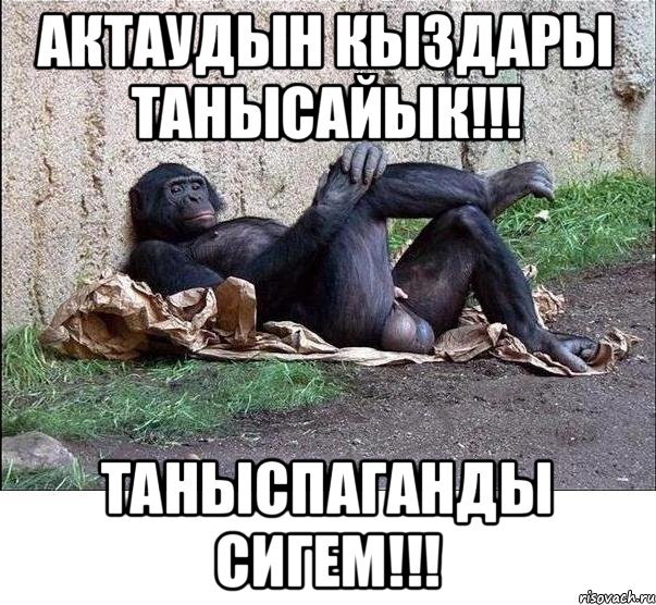 Актаудын кыздары танысайык!!! Таныспаганды сигем!!!