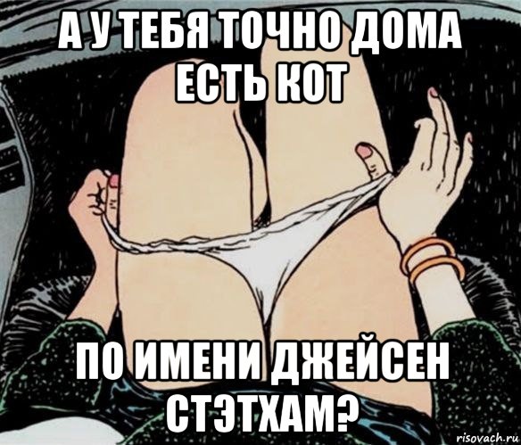 а у тебя точно дома есть кот по имени джейсен стэтхам?, Мем А ты точно