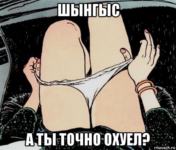 шынгыс а ты точно охуел?, Мем А ты точно