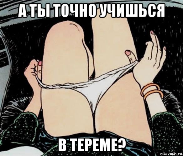 а ты точно учишься в тереме?, Мем А ты точно